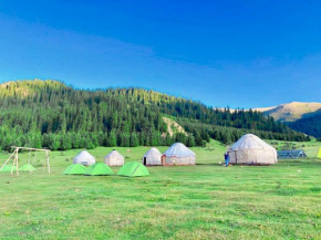 Green Yurt Camp